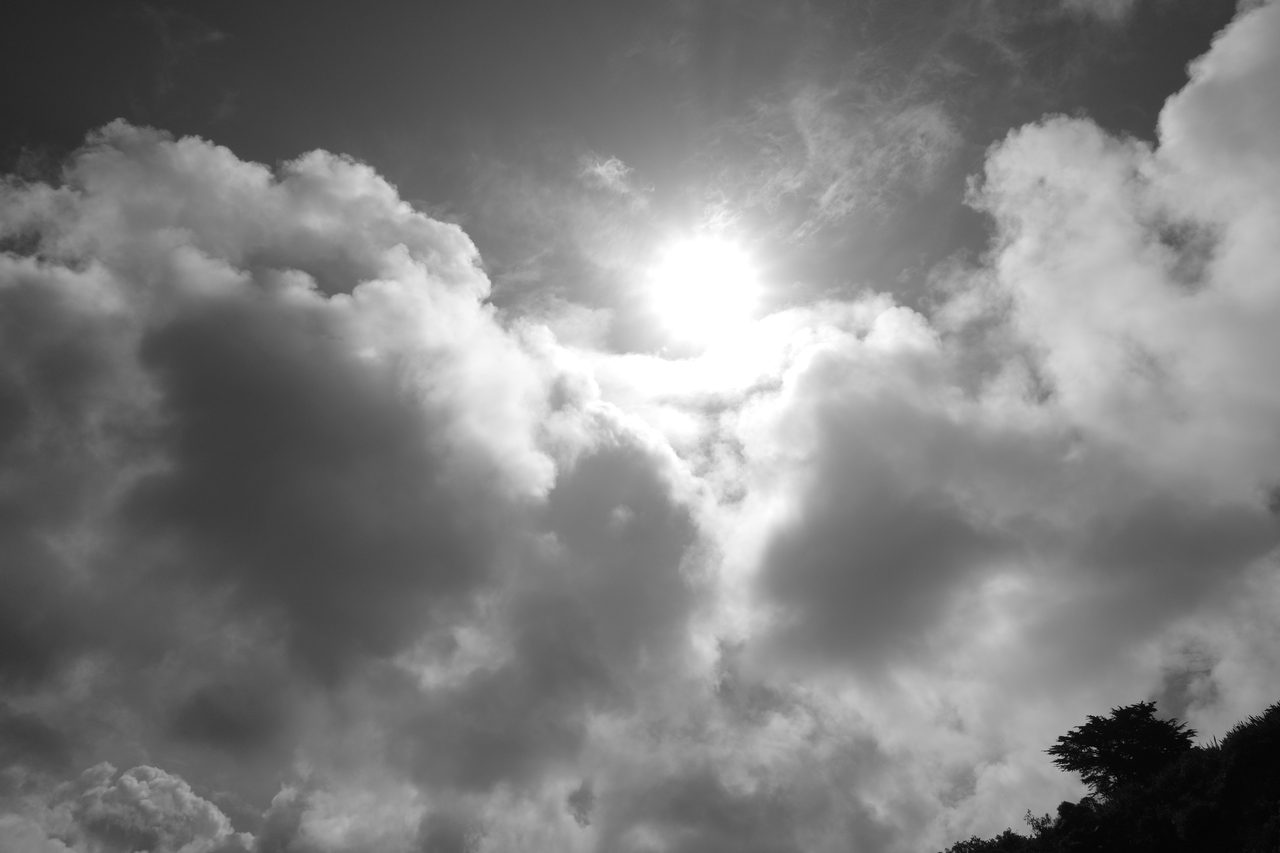 Light