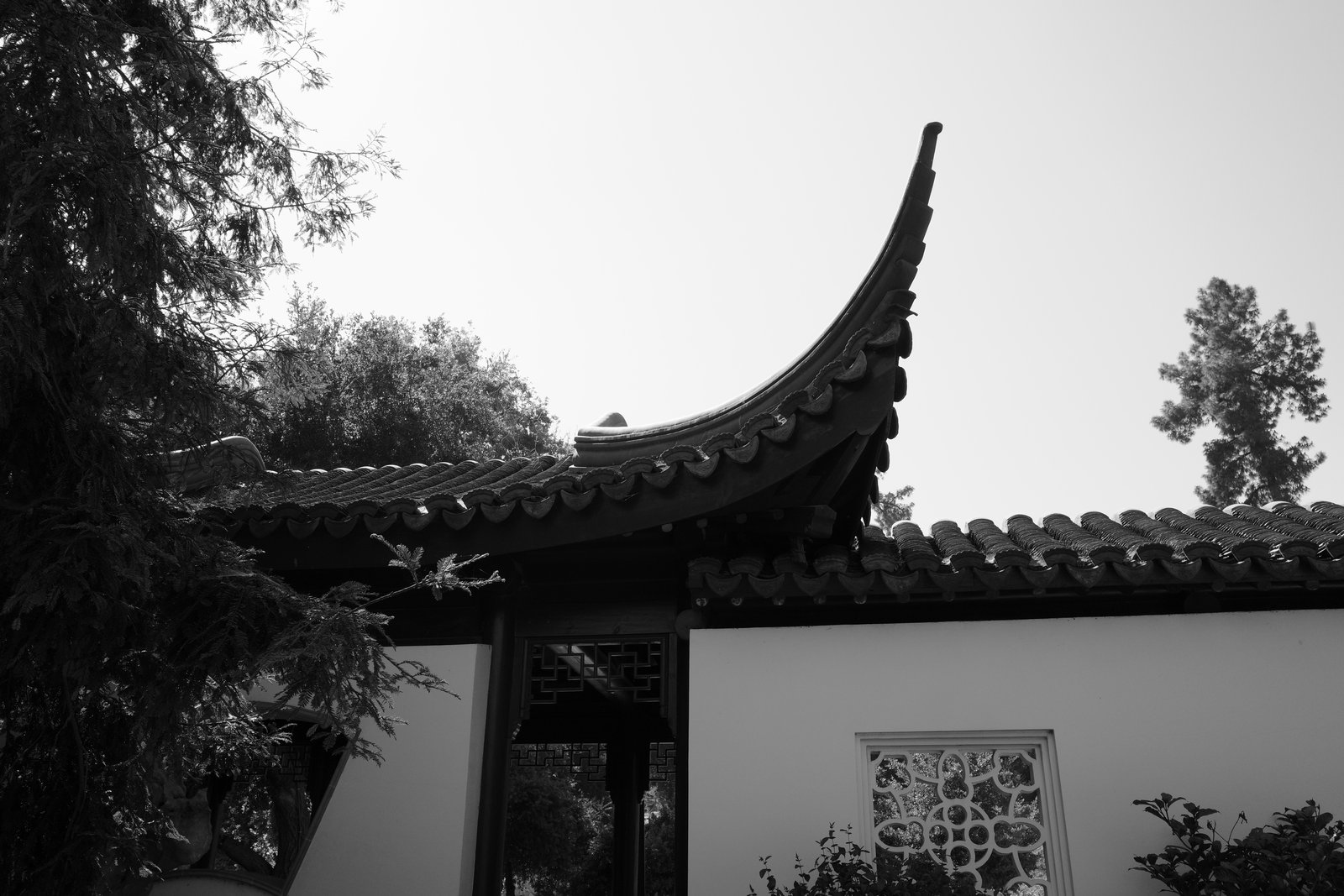 The tip of a tiled roof curves upward between trees.