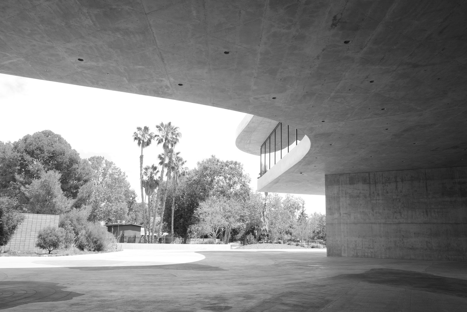 A deep concrete overhang curves around a bright courtyard.