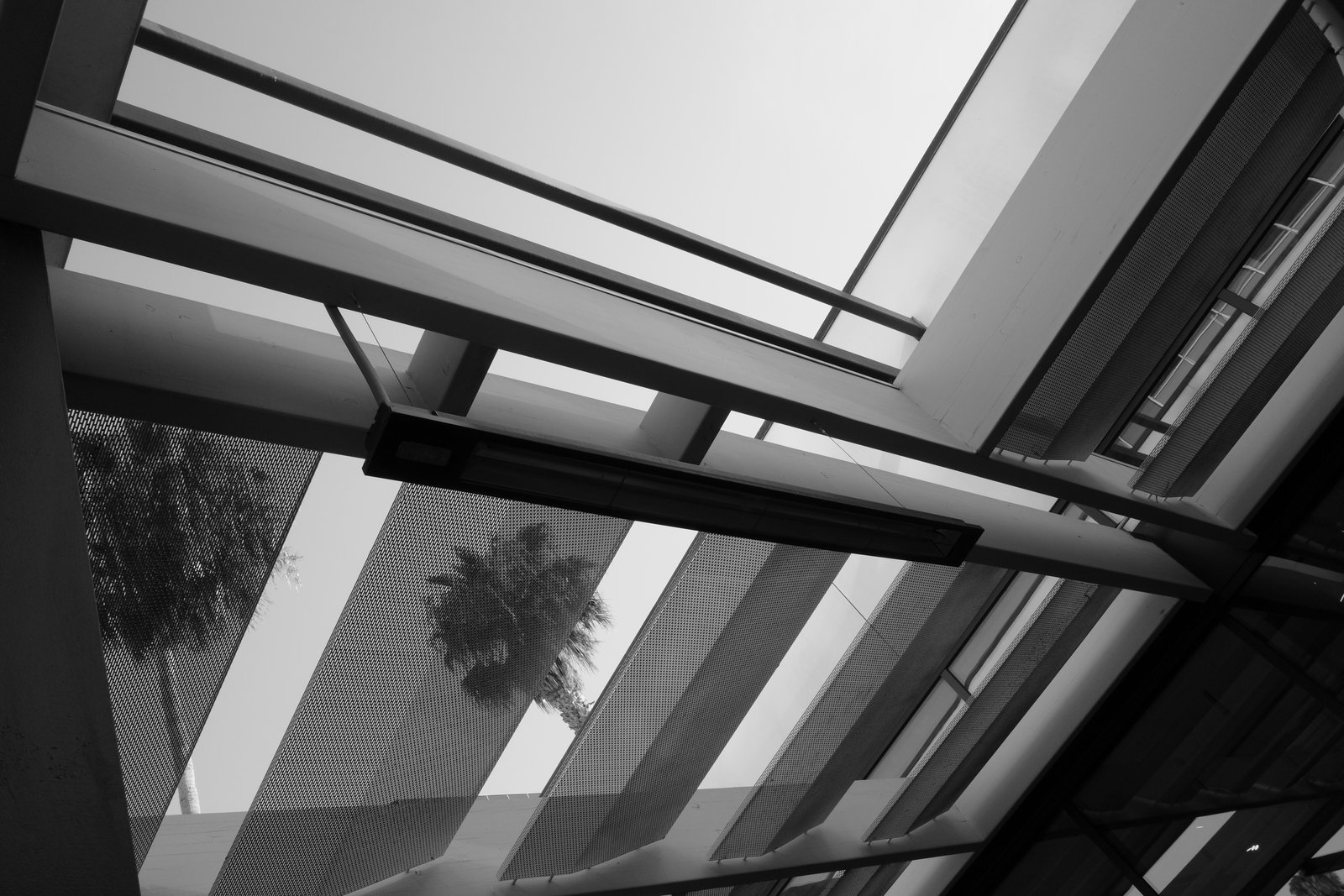 Palm silhouettes appear through intersecting glazed roof panels.