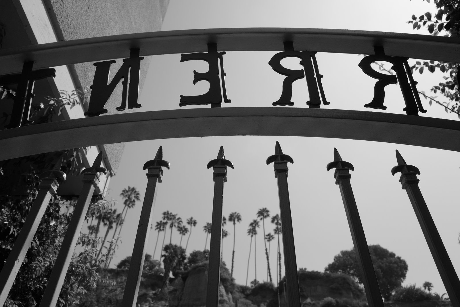 Reversed gate lettering and metal spikes frame distant palms.