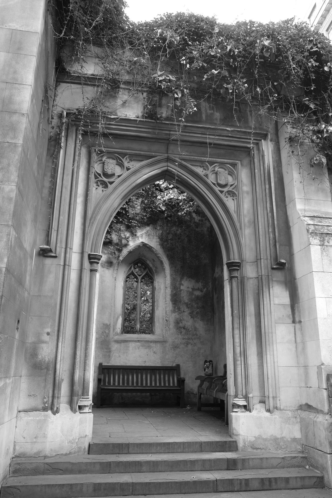A stone arch frames climbing growth and an empty bench inside a ruin.