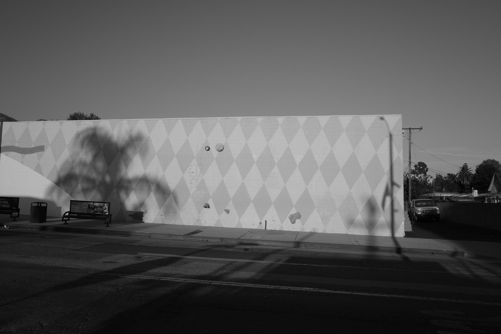 Palm shadows cross a wall painted with diamonds.