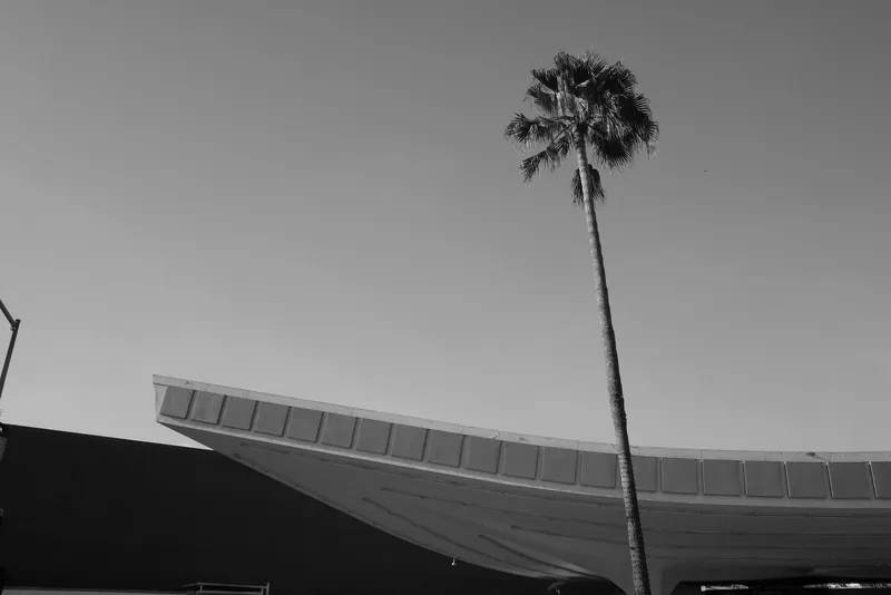one curve, one palm