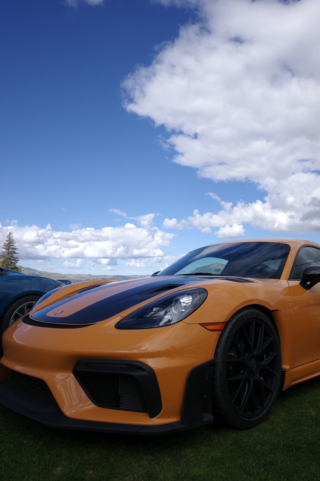 shaded porsche