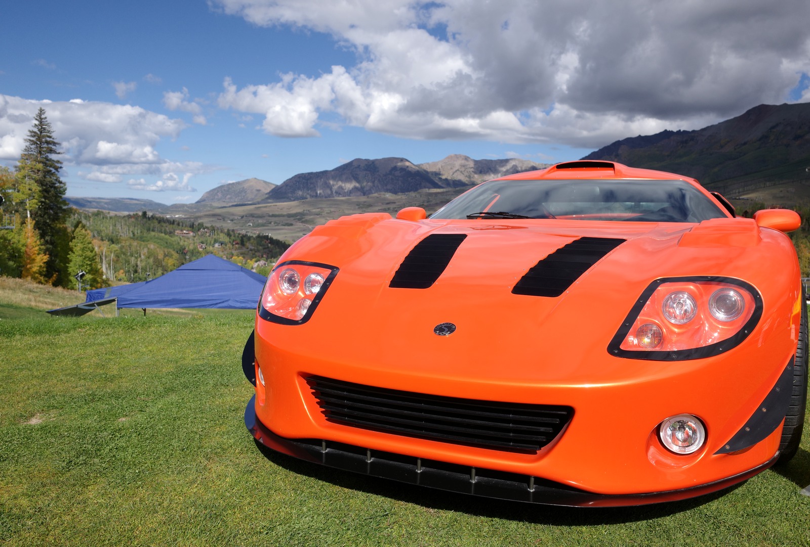 orange v blue 2