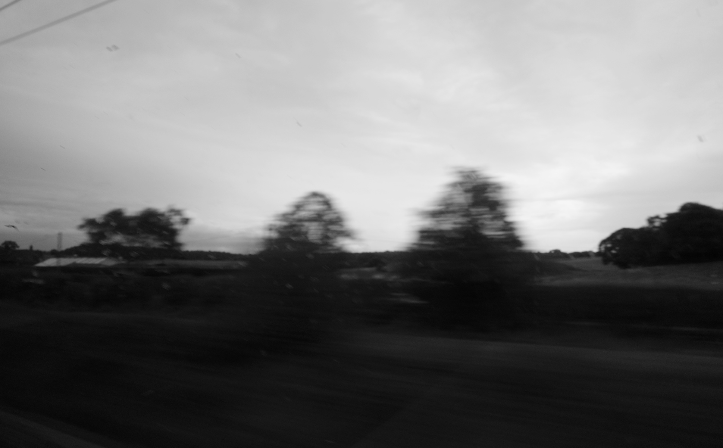 Trees blur into dark shapes beneath a pale sky, seen in passing.